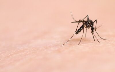 Hermes Pardini amplia leque de testes que identificam arboviroses