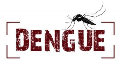 Número de casos de Dengue mais que dobrou no Brasil. Zika e Chicungunya tiveram decréscimos