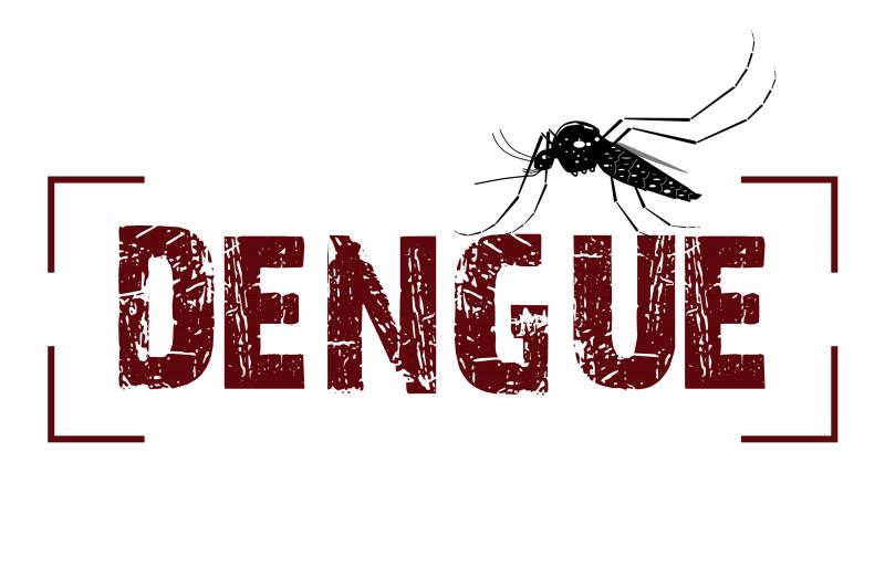 Número de casos de Dengue mais que dobrou no Brasil. Zika e Chicungunya tiveram decréscimos