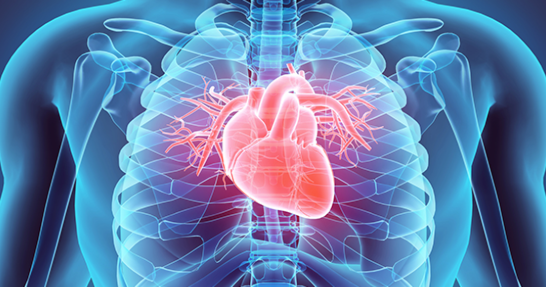 Anvisa mantém reprocessamento de produtos médicos em procedimentos cardíacos