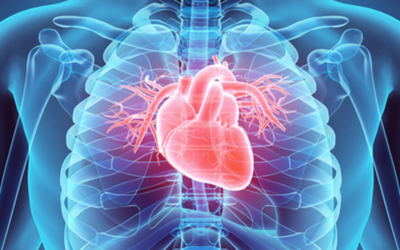 Anvisa mantém reprocessamento de produtos médicos em procedimentos cardíacos