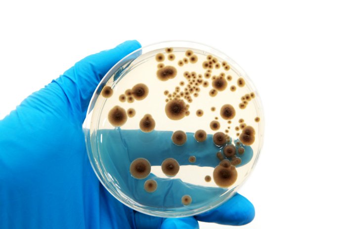 Lista de selecionados para curso de capacitação da Anvisa para gerenciamento de antimicrobiano