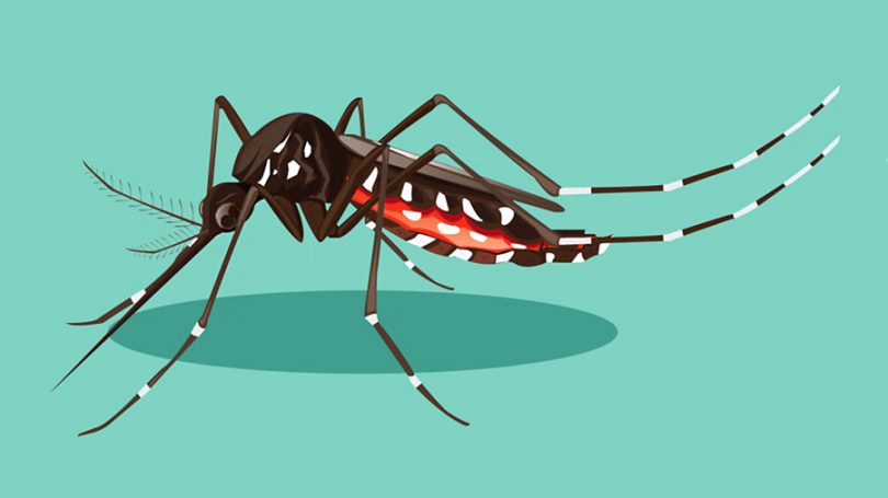 Teste pode identificar Zika em apenas 20 minutos