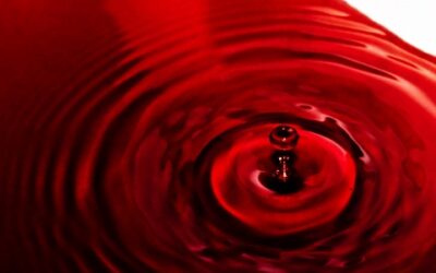 Sysmex lança analisador digital para morfologia celular sanguínea