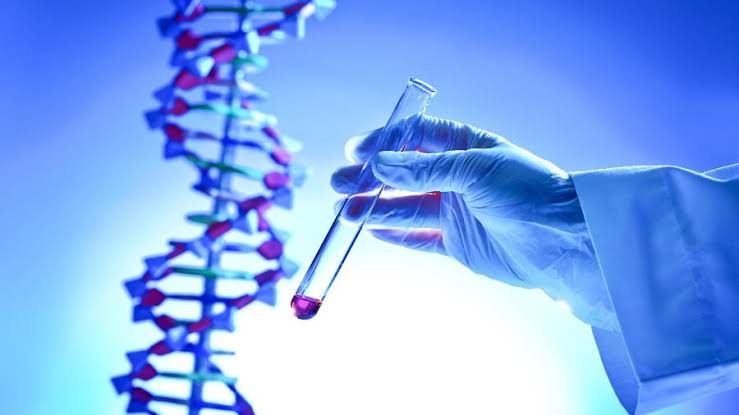 SBPC/ML divulga posicionamento sobre os Testes Genéticos Diretos ao Consumidor
