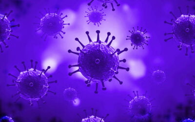 Estudo comprova que imunoensaio em linha é melhor teste para a detecção dos vírus HTLV tipos 1 e 2