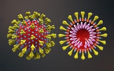 Pacientes brasileiros com coronavírus têm genomas diferentes