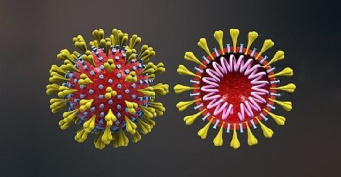 Pacientes brasileiros com coronavírus têm genomas diferentes