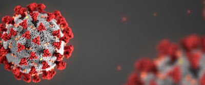 ICB/USP desenvolve diversos métodos para a detecção do Covid-19