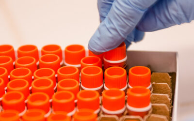 Pesquisadores da USP desenvolvem plataforma de auxílio a médicos e hospitais no combate à Covid-19