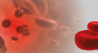 Stago realiza workshop durante simpósio internacional promovido pelo Albert Enstein