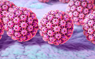 Kit para diagnóstico de HPV permite detectar 24 subtipos em apenas cinco horas