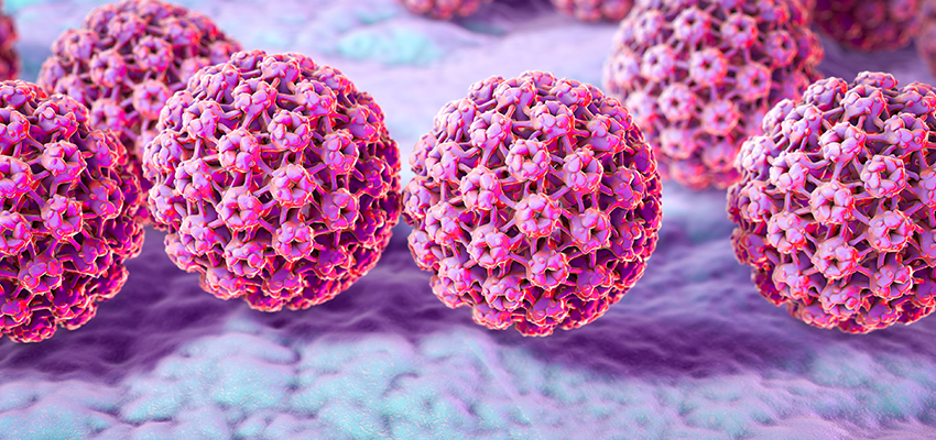 Kit para diagnóstico de HPV permite detectar 24 subtipos em apenas cinco horas