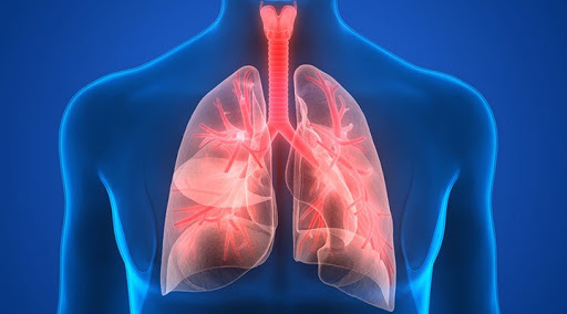 No Dia Mundial da Pneumonia (12 de novembro), webinar aborda os avanços no tratamento e no diagnóstico da doença