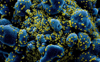 Melatonina natural pode proteger avanço da Covid-19, diz pesquisa da USP