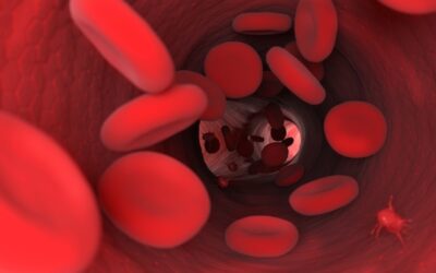 Reagente Anti-Xa da Stago é ideal para monitorar drogas anticoagulantes