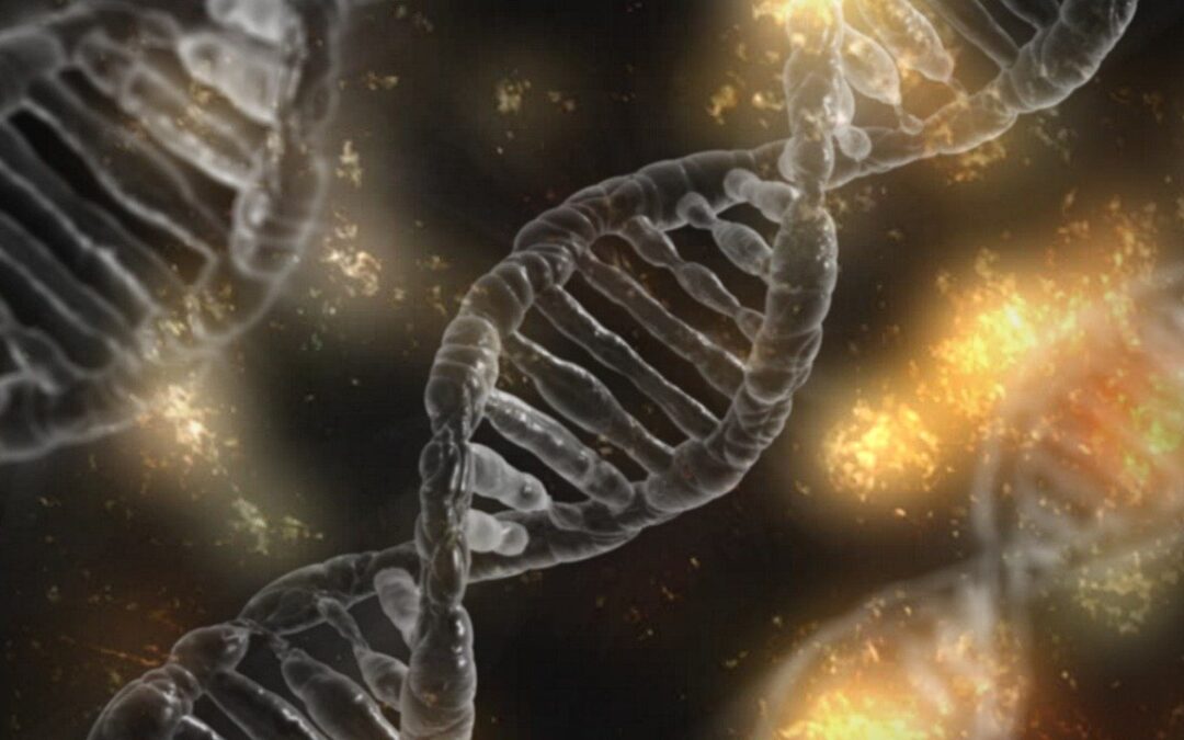 Diagnósticos moleculares: tecnologia ultrarrápida processa genoma humano completo em 25 minutos