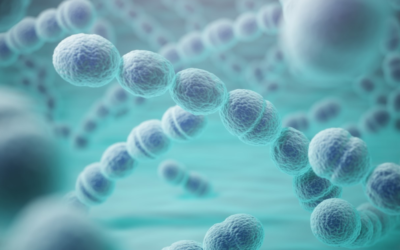 Exame permite avaliar resposta imunológica após aplicação da Vacina Pneumocócica Polissacarídica