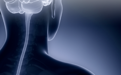 Teste para diagnóstico da Esclerose Múltipla, Freelite Mx tem distribuição ampliada