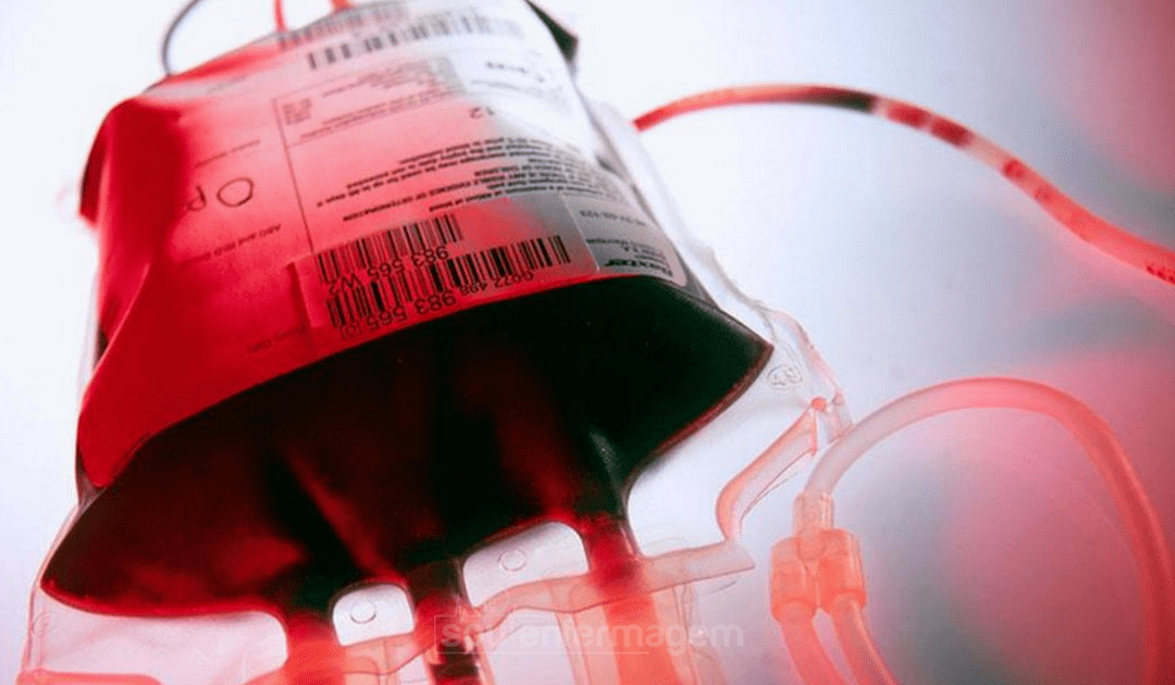 Grifols promove webinar ao vivo sobre Solução de Tipagem Sanguínea