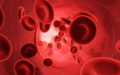 Tipagem RHD será tema de webinar da Grifols