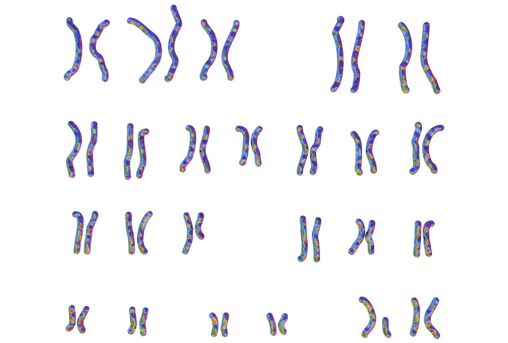 Exame de sangue que investiga alterações cromossômicas se torna obrigatório na triagem de doadores de sêmen e óvulo