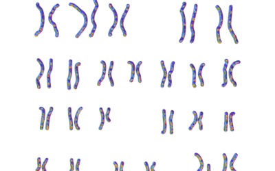 Exame de sangue que investiga alterações cromossômicas se torna obrigatório na triagem de doadores de sêmen e óvulo