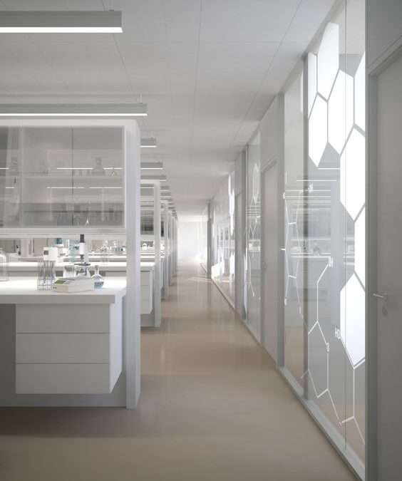 Captura Híbrida: o que é e para que serve o exame mais recomendado para câncer de colo de útero