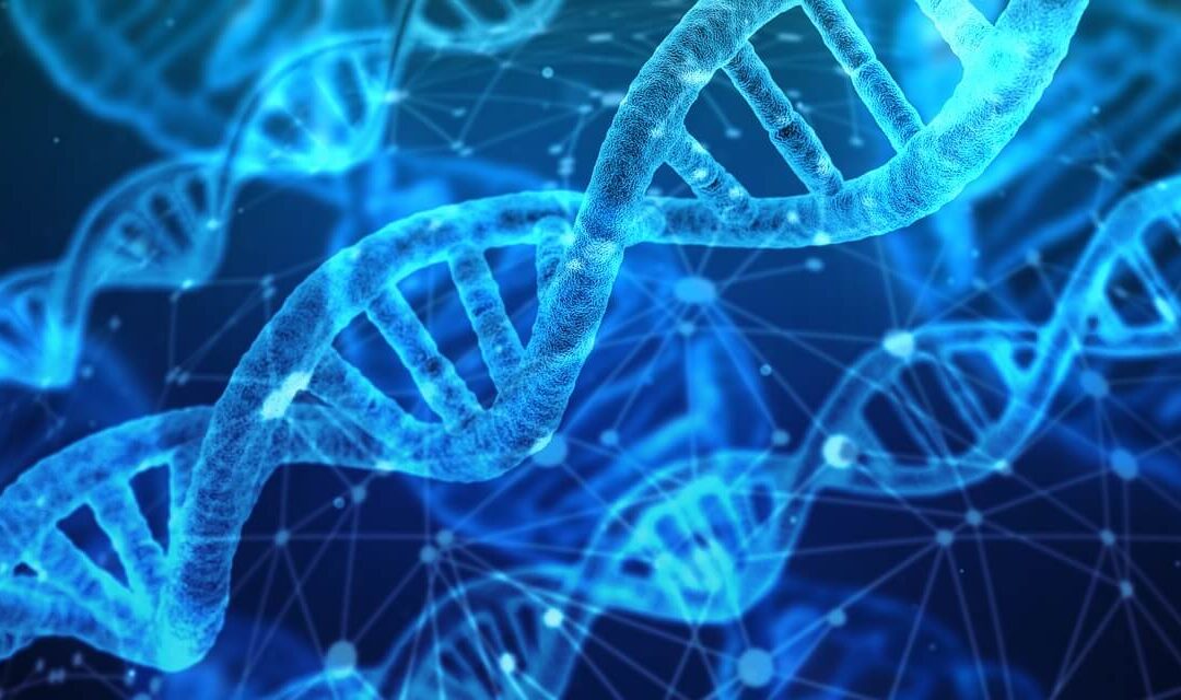 Doutor em Biologia Funcional e Molecular ajuda profissionais de saúde a utilizar novas tecnologias do DNA