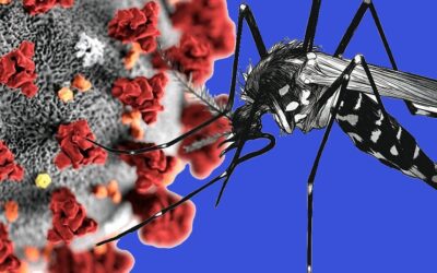 Casos de Dengue e Covid explodem… Saiba as diferenças e a importância de testar