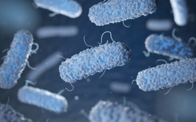 Diasorin lança teste CLIA para auxílio no diagnóstico de Legionella