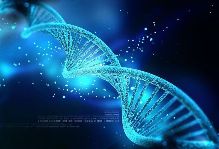 Testes genéticos: como eles podem contribuir no tratamento do câncer
