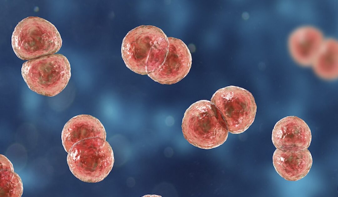 Resistência antimicrobiana e automedicação é tema de nova revista infantil Sandoz lança gibi educativo produzido pelo Projeto Leiturinha sobre RAM nos formatos impressos e digital