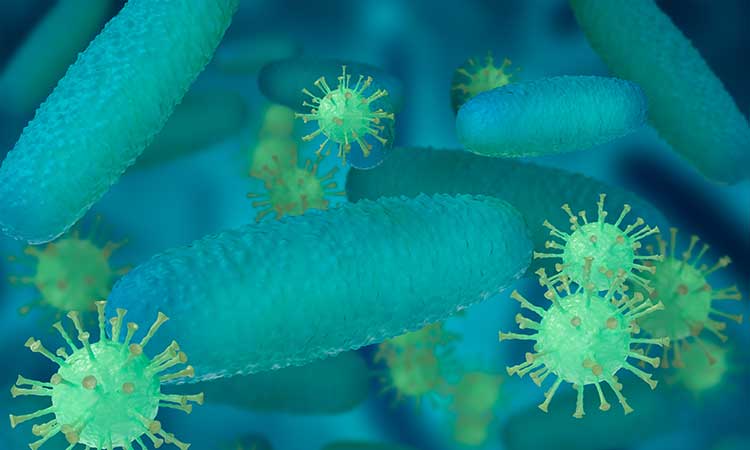 São Paulo receberá 14º Congresso Paulista de Infectologia em agosto