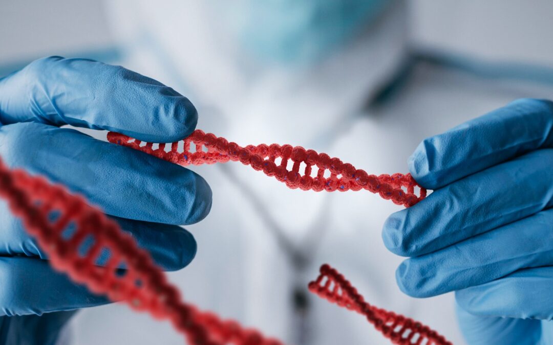 CBRA 2024: Igenomix aborda inovações, benefícios e indicações dos testes genéticos que aumentam chance de gravidez e de nascimento de bebê saudável