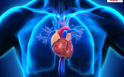 Você tem insuficiência cardíaca? Conheça a importância do acompanhamento da doença