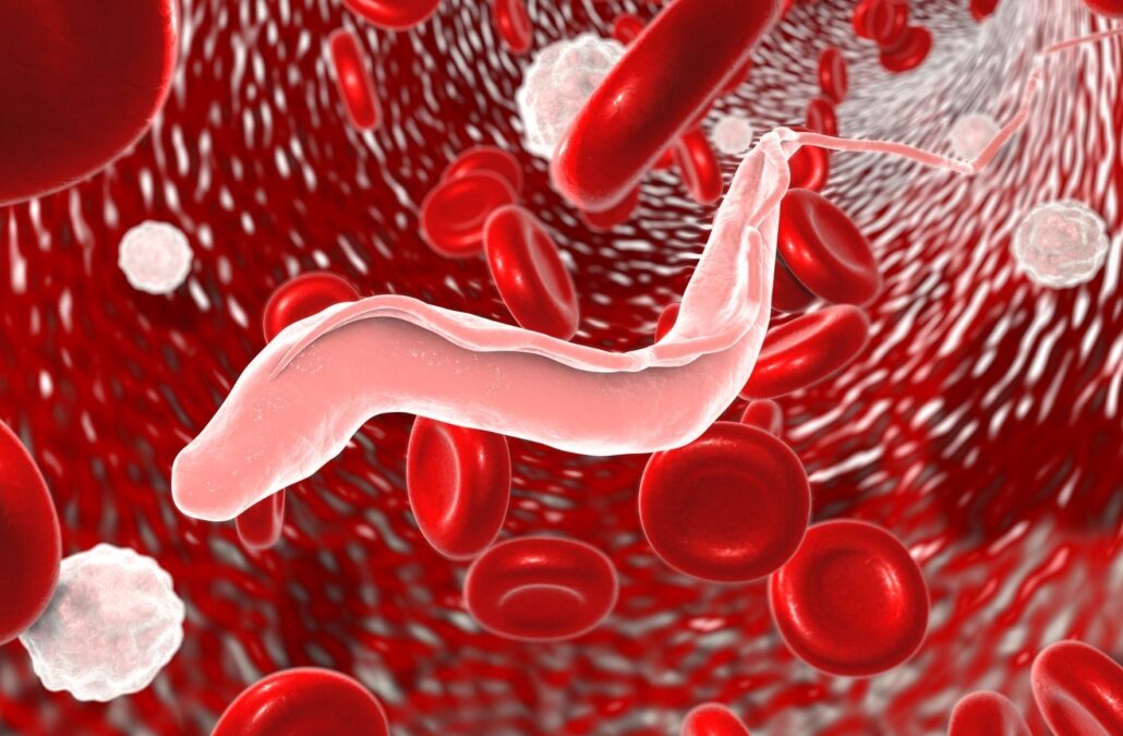 Chagas: diagnóstico precoce pode evitar mortes pela doença. Tema será abordado em live da Wiener lab. e CBDL que ocorrerá no dia 14 de abril, Dia Mundial da Doença de Chagas