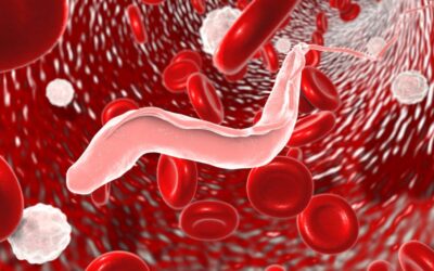 Chagas: diagnóstico precoce pode evitar mortes pela doença. Tema será abordado em live da Wiener lab. e CBDL que ocorrerá no dia 14 de abril, Dia Mundial da Doença de Chagas