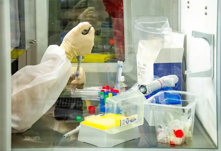 Fiocruz lança Rebec@, inteligência artificial para auxiliar Ministério da Saúde e OMS