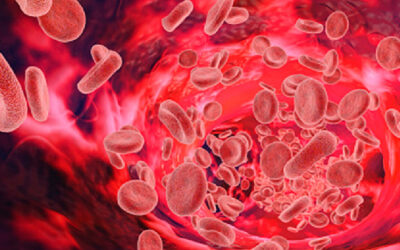 Abbott lança no Brasil a plataforma CoroFlow‡, que ajuda na avaliação de fluxos sanguíneos das artérias do coração