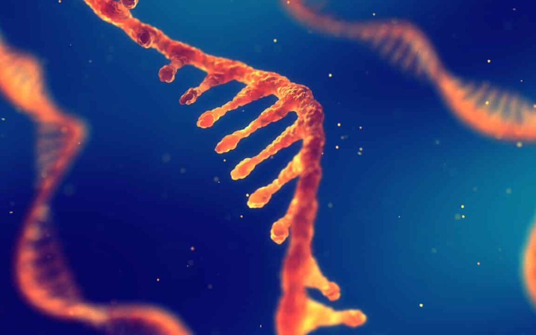 Vacina de RNA Mensageiro aponta para imunização universal contra o câncer