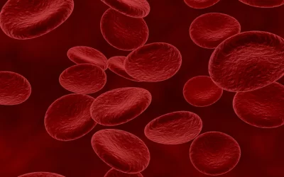 Diagnóstico e Monitoramento do Mieloma Múltiplo e da Amiloidose é tema de webinar pela Sebia