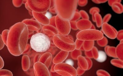 Sepse: doença mata milhões por ano e exige diagnóstico rápido para salvar vidas