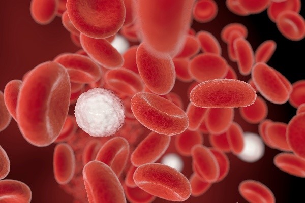 Sepse: doença mata milhões por ano e exige diagnóstico rápido para salvar vidas