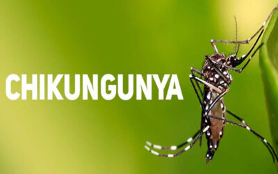 Dia 30 de Janeiro – Dia Mundial das Doenças Negligenciadas  10 coisas que você deve saber sobre a Chikungunya. Médico infectologista comenta sobre os riscos e prevenção
