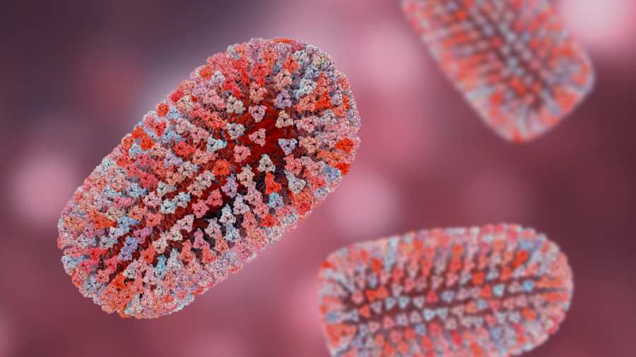 Mpox aumenta no Brasil e reacende alerta para monitoramento e vigilância