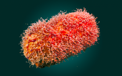 Mpox aumenta no Brasil e reacende alerta para monitoramento e vigilância