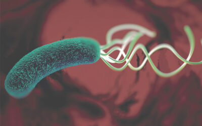 H.Pylori será tema de discussão promovida pela Abbott no dia 18 de agosto