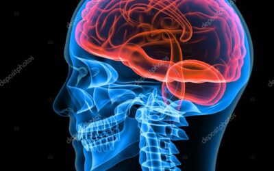Nova tecnologia acelera descobertas de tratamentos para doenças raras, neurodegenerativas e cânceres no Sul do Brasil