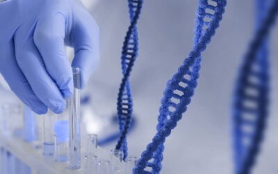 Teste genético e microbiota: especialista explica quando esses exames realmente são indicados